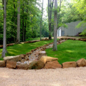 Picture of creek bed