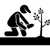 planting picture